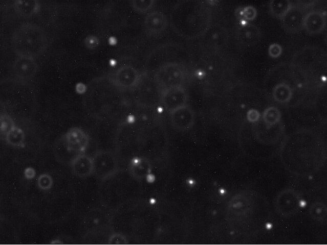 an image of white particles on a black background