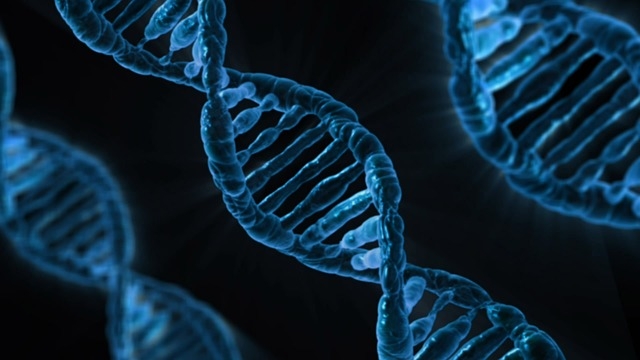 an image of an enlarged blue DNA strand